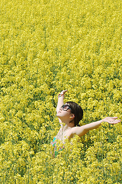 Field of yellow flowers, with girl freedom and peace